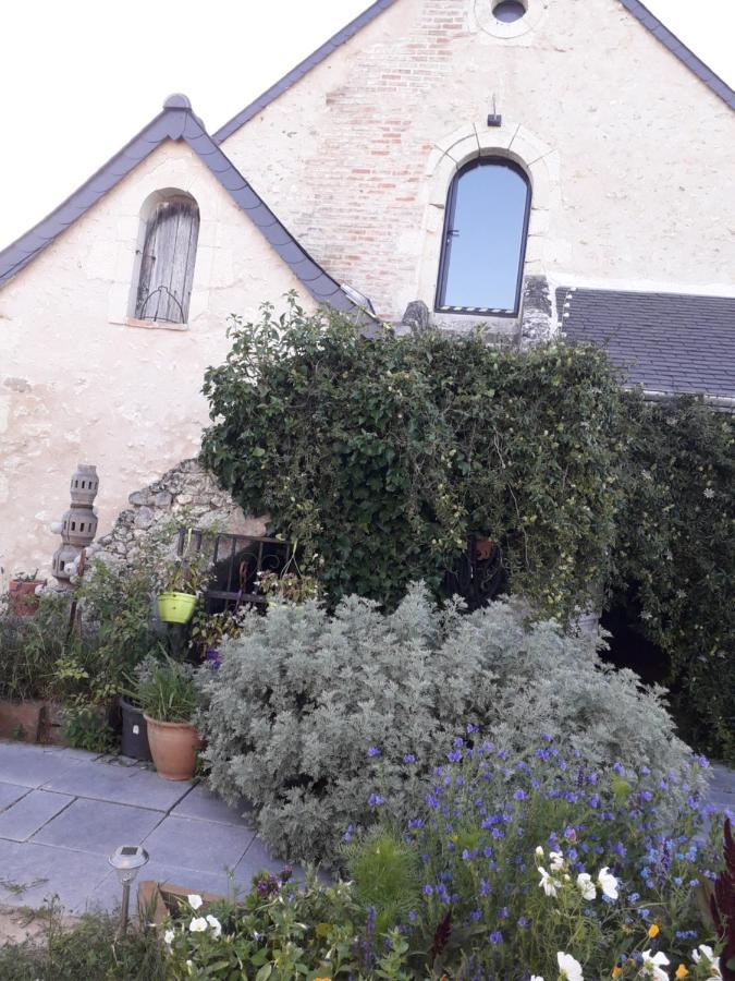Gite Familial La Tabarderie Courcelles-de-Touraine Exterior foto